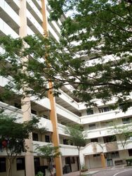 Blk 13 TOA PAYOH COURT (Toa Payoh), HDB 3 Rooms #618153021